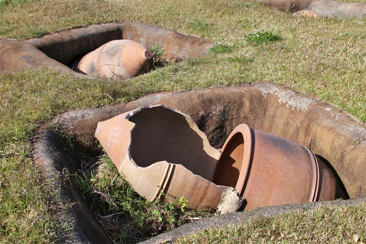 🏞️ 요시노가리 역사공원 (요시노가리레키시코엔) 이미지 8